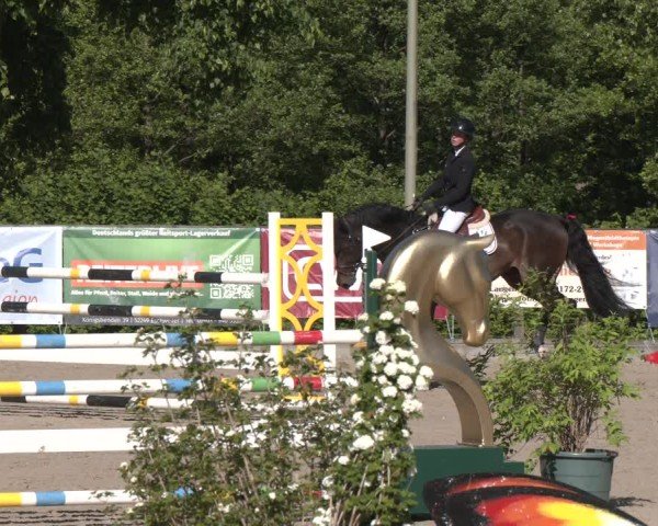 Reitturnier Erkrath - Uhlenhof 2025