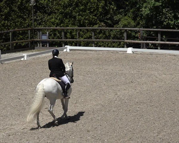 Reitturnier Cureglia 2025