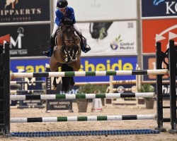 jumper Corradino du Bary (French Pony, 2012, from Urlevent du Bary)