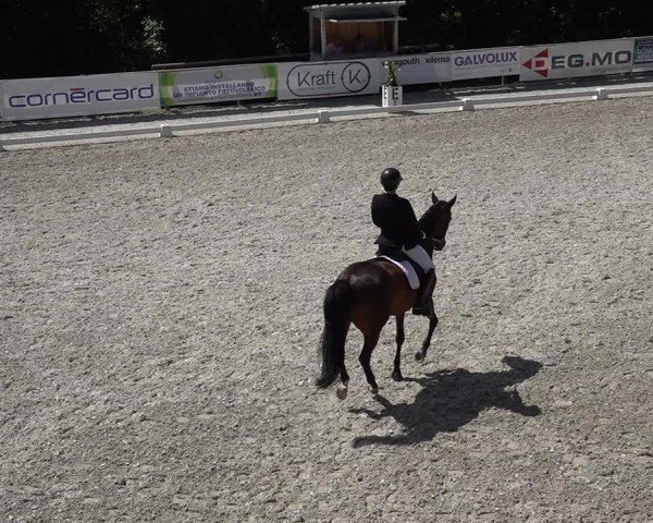 Reitturnier Cureglia 2025