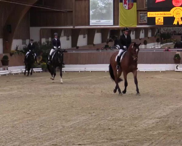 Krefeld - Reitanlage Kühnen, Junge-Pferde-Turnier 2014