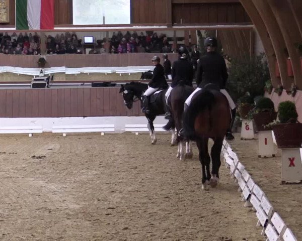 Krefeld - Reitanlage Kühnen, Junge-Pferde-Turnier 2014