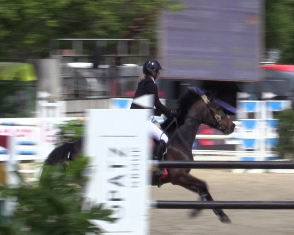 Reitturnier Bremen - Reitanlage Forkert 2025