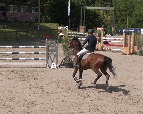 Reitturnier Erkrath - Uhlenhof 2025