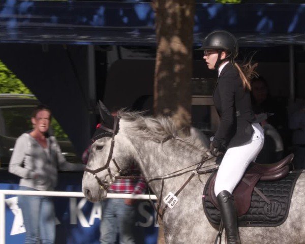 Reitturnier Heiligenwald 2025