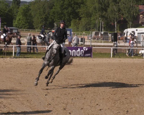 Reitturnier Heiligenwald 2025