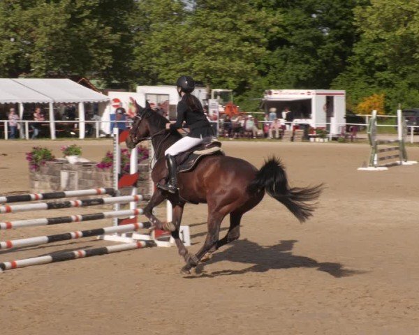 Reitturnier Heiligenwald 2025