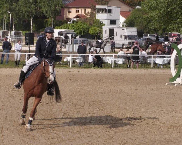 Reitturnier Heiligenwald 2025