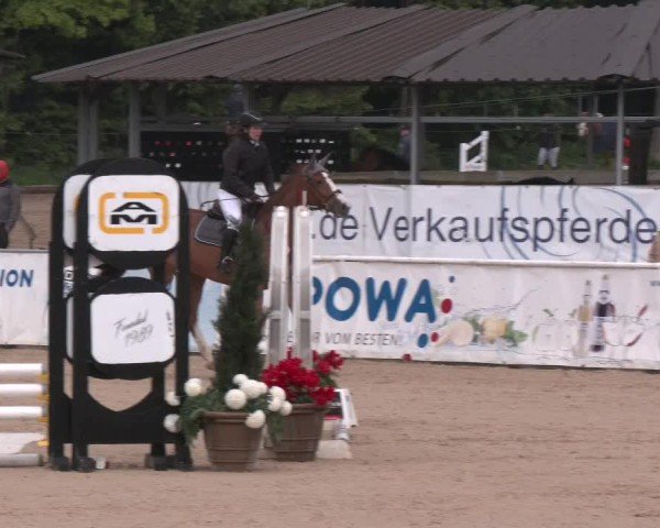 Reitturnier Ranshofen - Braunau am Inn 2025