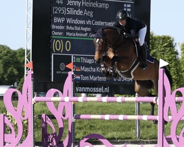 Jumper Silinde Aeg (Belgian Warmblood, 2018, from Cornet Obolensky)