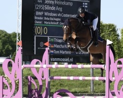 jumper Silinde Aeg (Belgian Warmblood, 2018, from Cornet Obolensky)