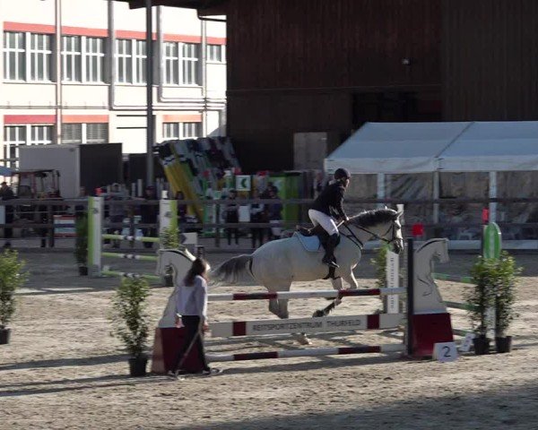 Reitturnier Sulgen 2025