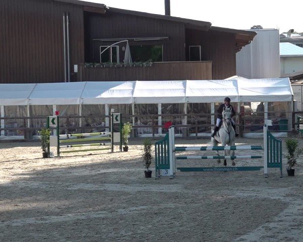 Reitturnier Sulgen 2025