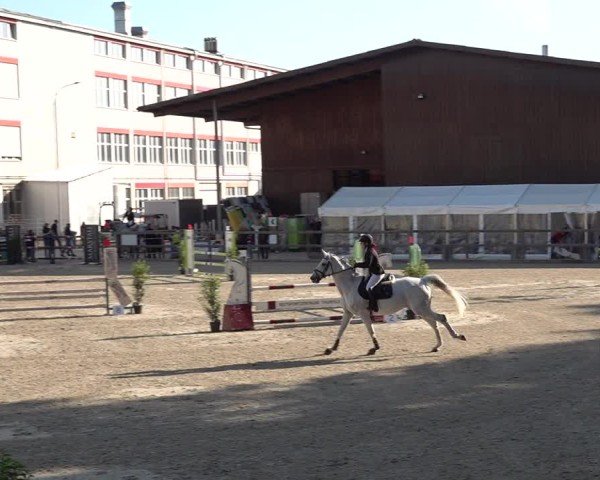 Reitturnier Sulgen 2025