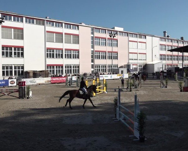 Reitturnier Sulgen 2025