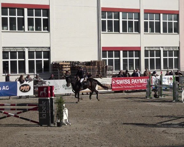Reitturnier Sulgen 2025