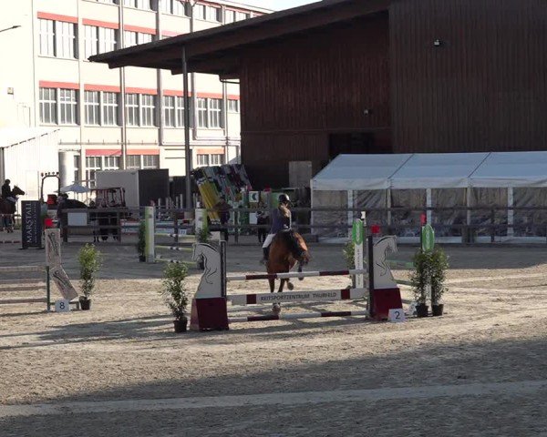 Reitturnier Sulgen 2025