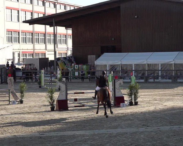 Reitturnier Sulgen 2025