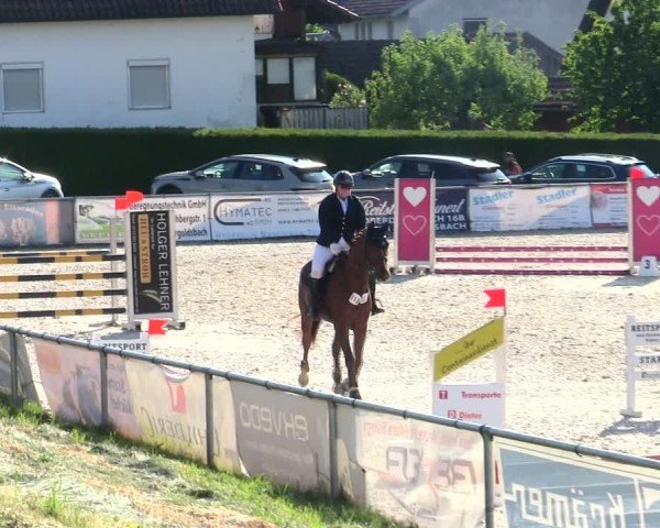 Reitturnier Mallersdorf-Pfaffenberg/Ndb. 2025