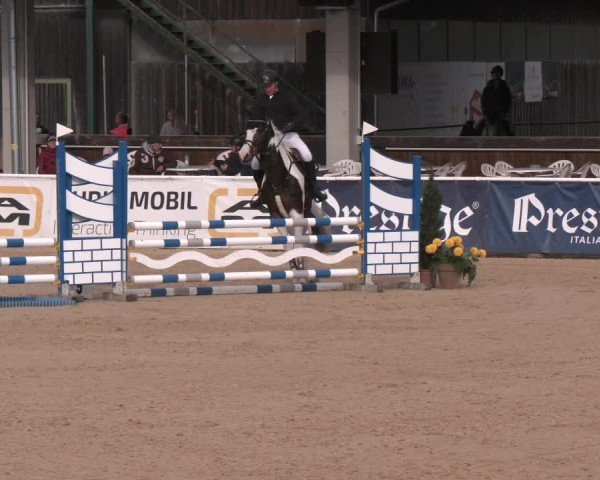 Reitturnier Ranshofen - Braunau am Inn 2025