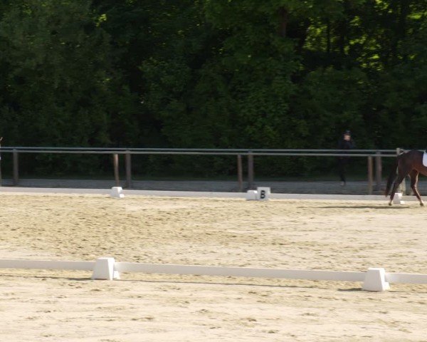 Reitturnier Winnenden 2025
