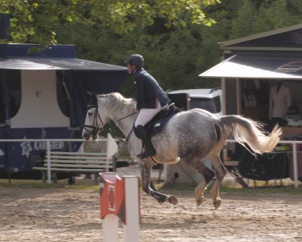 Reitturnier Heiligenwald 2025