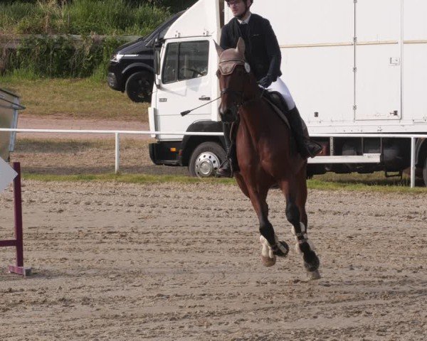 Reitturnier Heiligenwald 2025