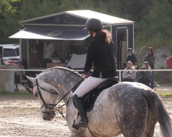 Reitturnier Heiligenwald 2025