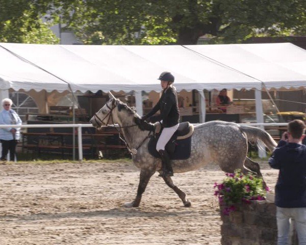 Reitturnier Heiligenwald 2025