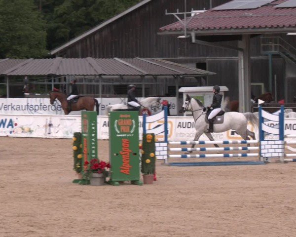Reitturnier Ranshofen - Braunau am Inn 2025