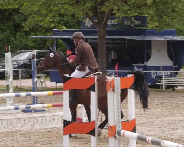 Reitturnier Heiligenwald 2025
