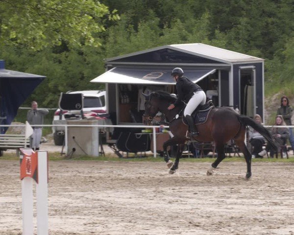 Reitturnier Heiligenwald 2025