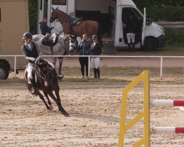 Reitturnier Heiligenwald 2025