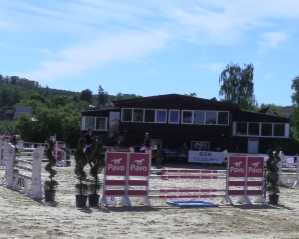 Reitturnier Niederbergheim 2025