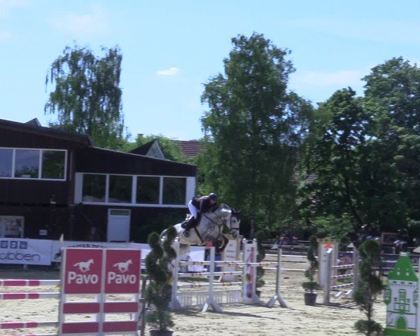 Reitturnier Niederbergheim 2025