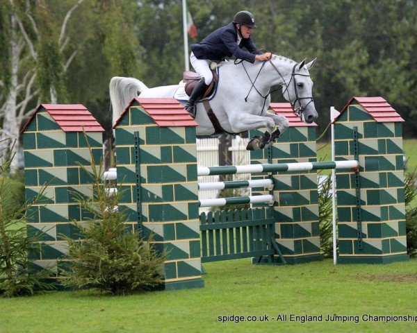 jumper Elite Patty K (KWPN (Royal Dutch Sporthorse), 2009, from Campbell VDL)