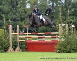 jumper Egbert (KWPN (Royal Dutch Sporthorse), 2009, from Warrant)