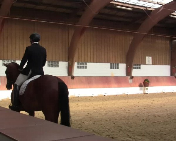 Krefeld - Reitanlage Kühnen, Junge-Pferde-Turnier 2014
