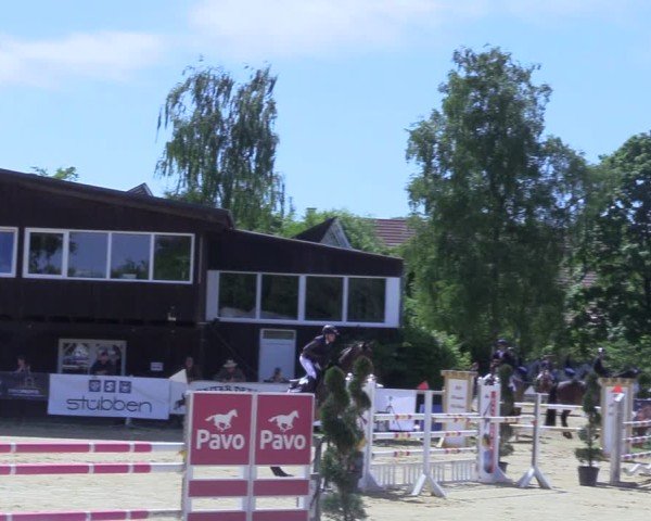 Reitturnier Niederbergheim 2025