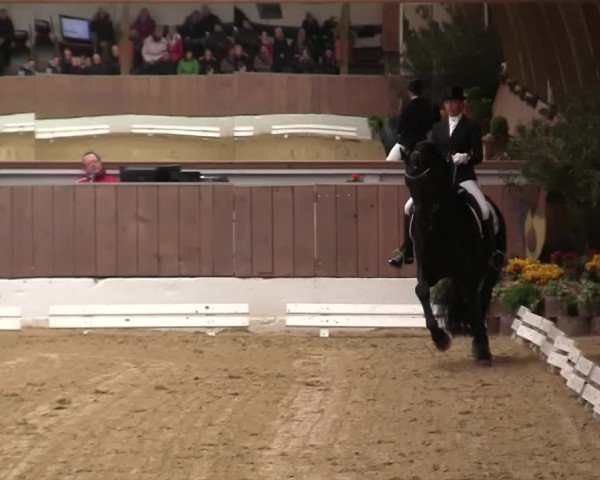 Krefeld - Reitanlage Kühnen, Junge-Pferde-Turnier 2014