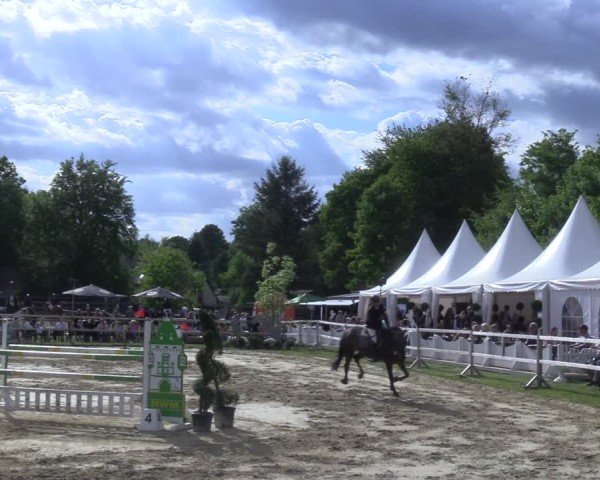 Reitturnier Niederbergheim 2025