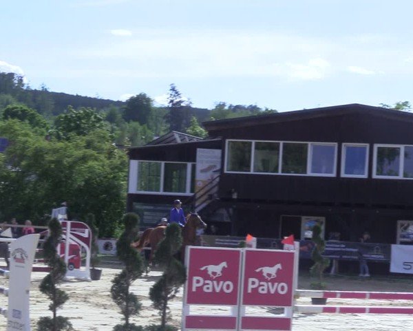 Reitturnier Niederbergheim 2025