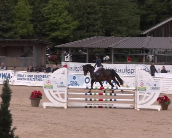 Reitturnier Ranshofen - Braunau am Inn 2025