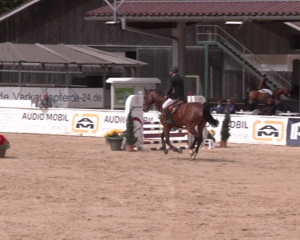 Reitturnier Ranshofen - Braunau am Inn 2025