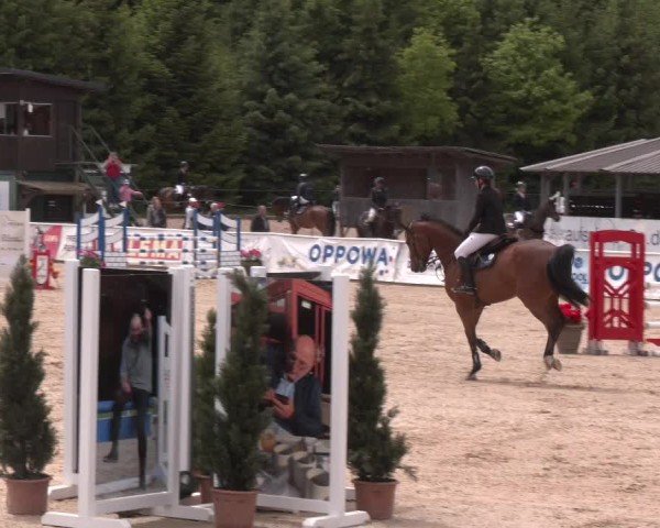 Reitturnier Ranshofen - Braunau am Inn 2025