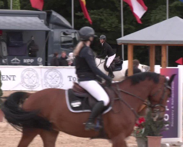 Reitturnier Ranshofen - Braunau am Inn 2025