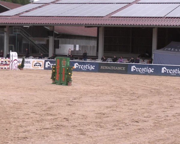Reitturnier Ranshofen - Braunau am Inn 2025