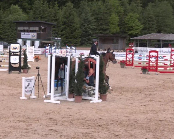 Reitturnier Ranshofen - Braunau am Inn 2025