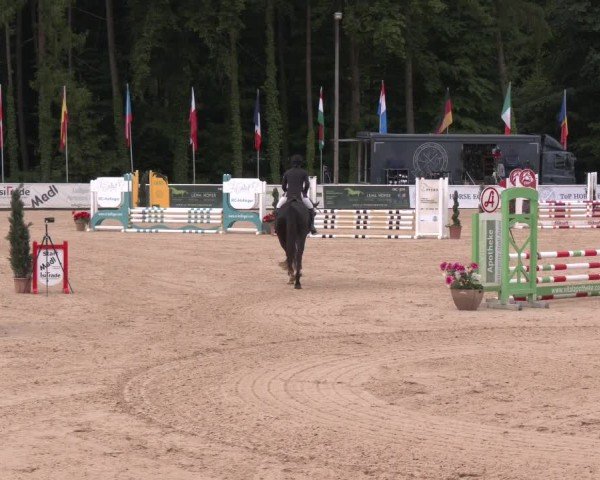 Reitturnier Ranshofen - Braunau am Inn 2025