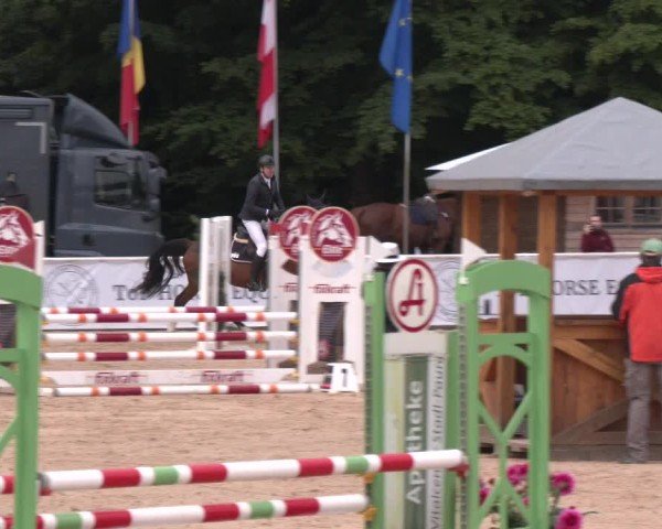 Reitturnier Ranshofen - Braunau am Inn 2025